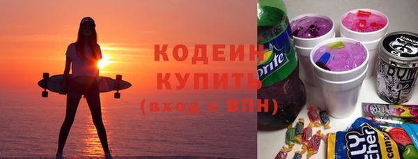 хмурый Каменногорск