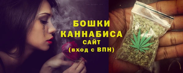 хмурый Каменногорск