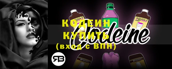 хмурый Каменногорск