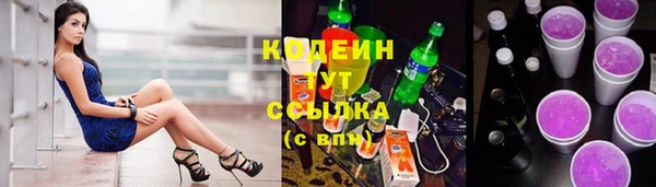 мет Каменка