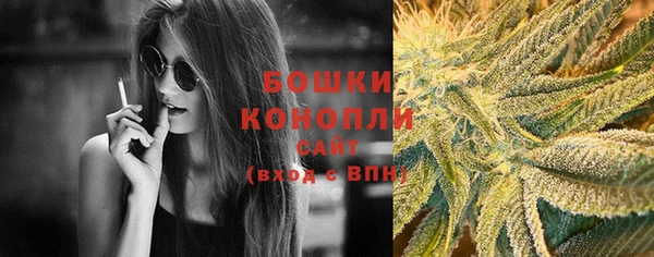 хмурый Каменногорск