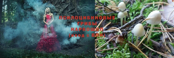 мдпв Каменск-Шахтинский