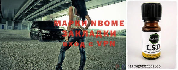 твердый Болотное