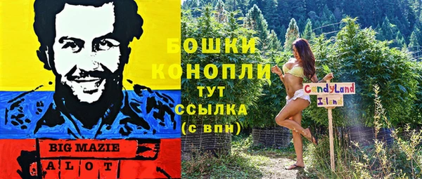 хмурый Каменногорск