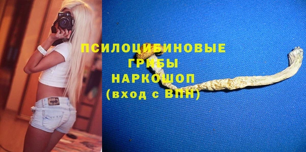 хмурый Каменногорск