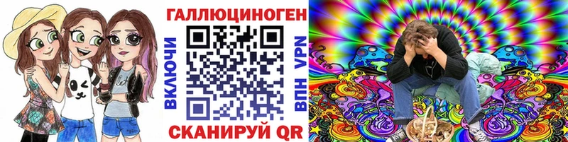 Купить где  Знаменск  Галлюциногенные грибы мицелий 